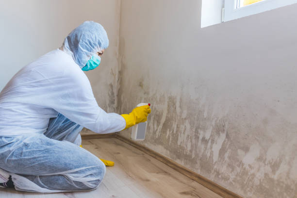Bathroom Mold Removal assessment in Nashville bathroom