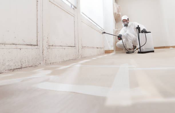 Black mold remediation team in Nashville